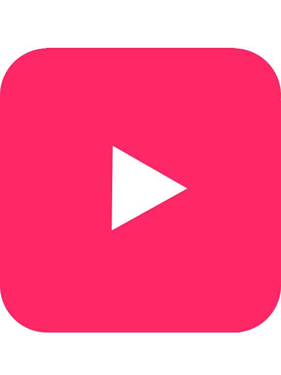 Стимулятор клитора Womanizer Premium 2
