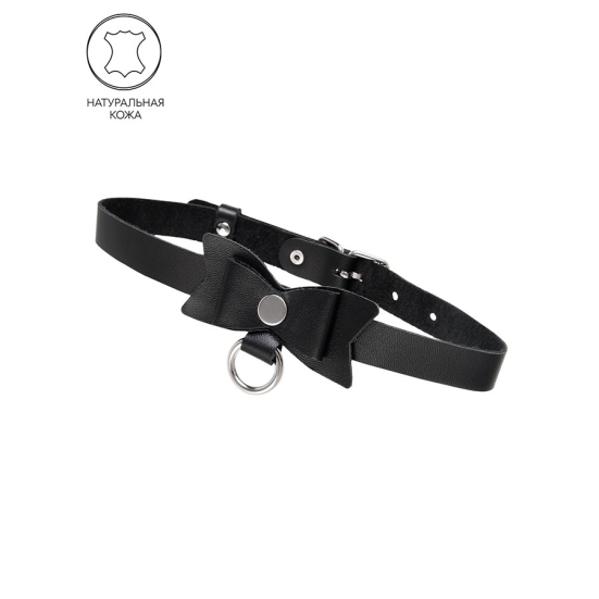 Кожаный чокер-ошейник Pecado 03126